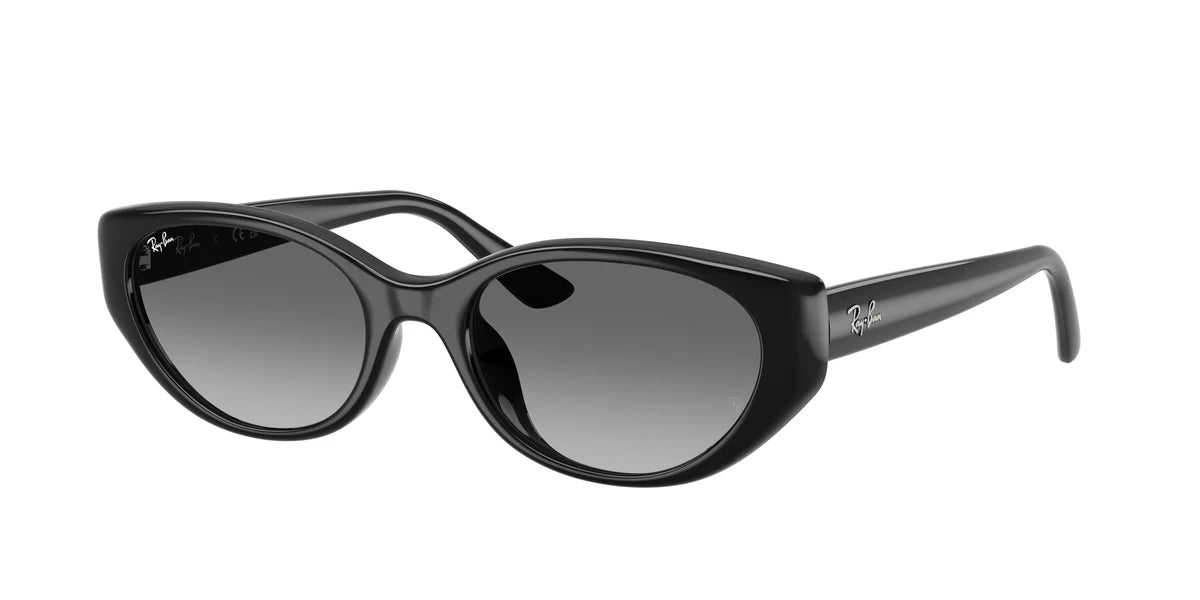 RAY - BAN RB4457D 667711