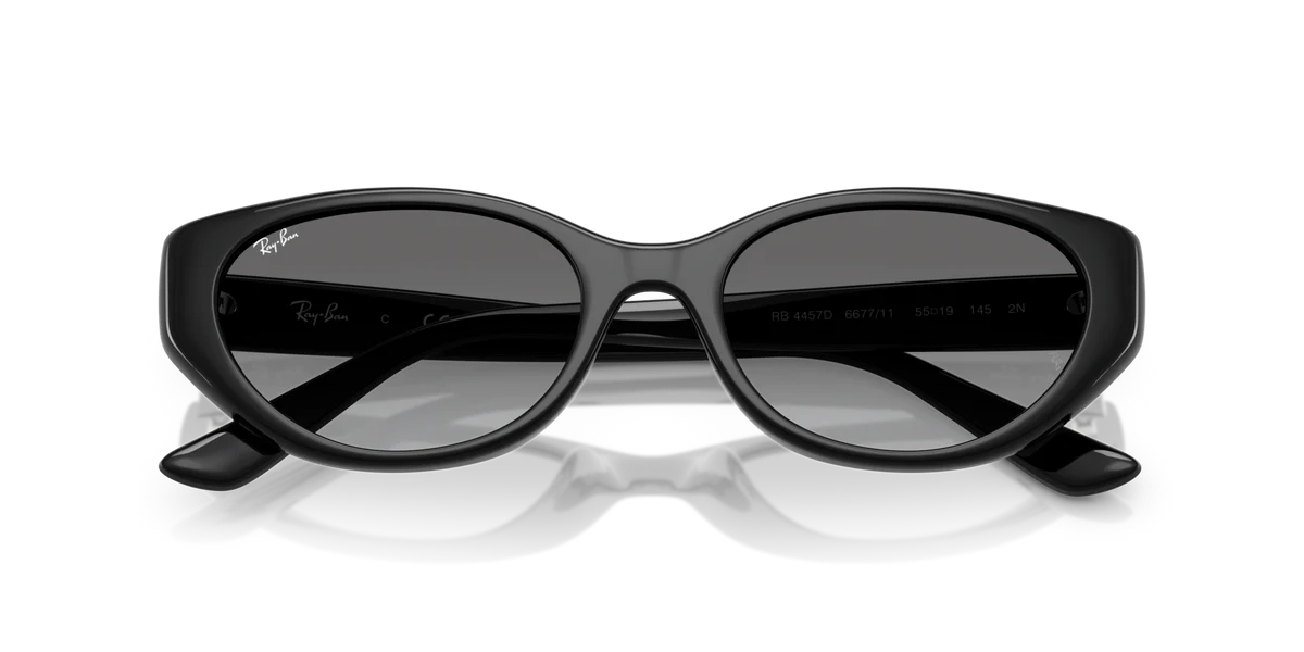 RAY - BAN RB4457D 667711